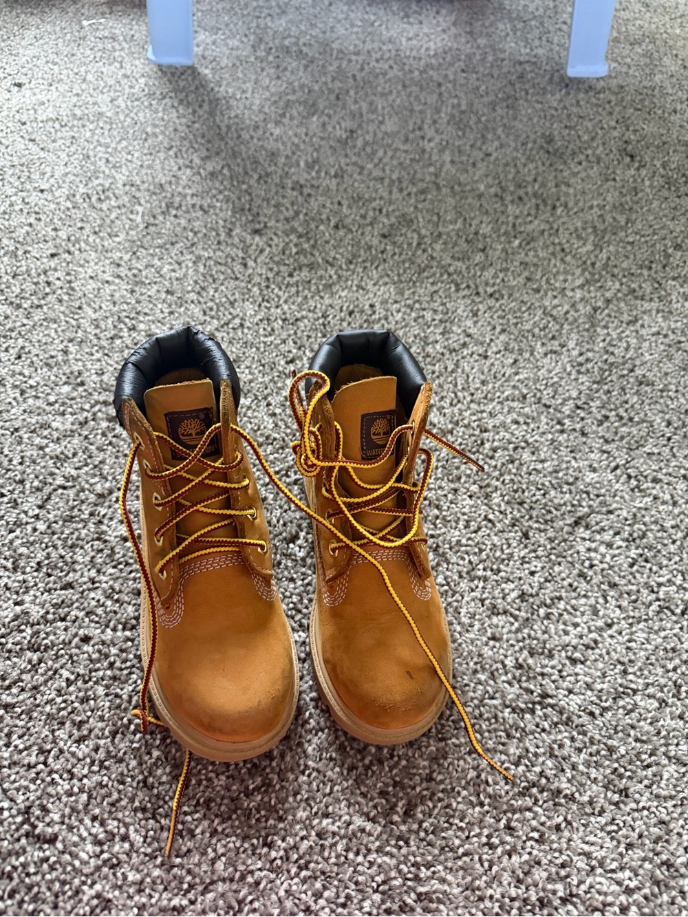 Timberland Kids Wheat Lace-Up Boots with Black Padded Collar